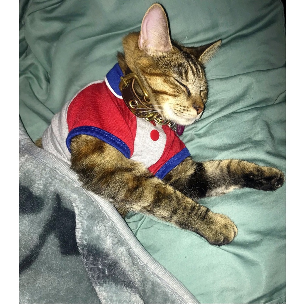 Meet your Posher, Bianca